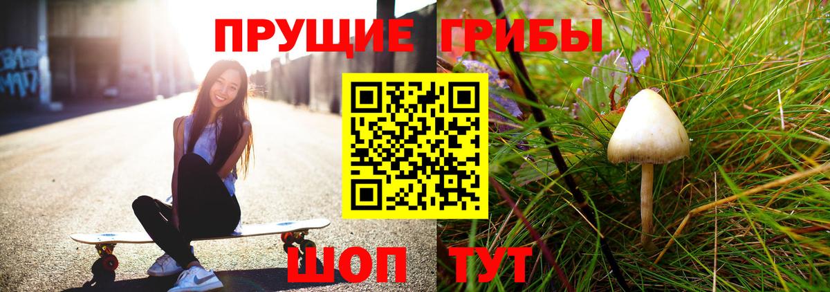 Псилоцибиновые грибы MAGIC MUSHROOMS Заводоуковск