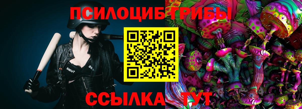 Заводоуковск  Галлюциногенные грибы мицелий  Галлюциногенные грибы MAGIC MUSHROOMS  Вход с VPN 